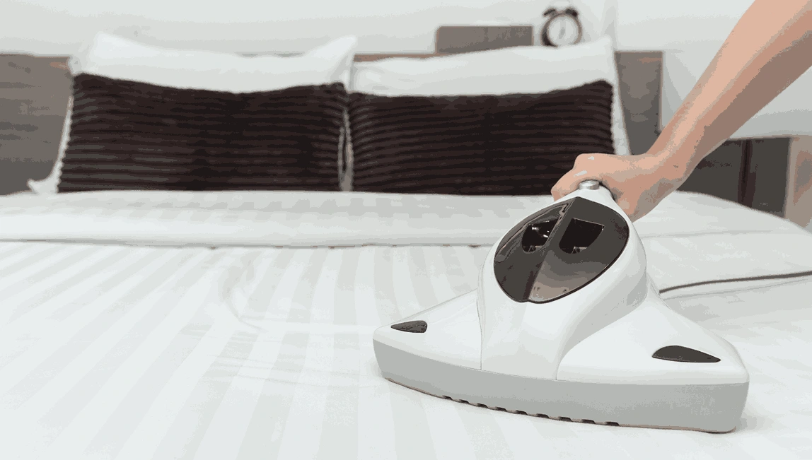 Professional Mattress Cleaning Red Hill